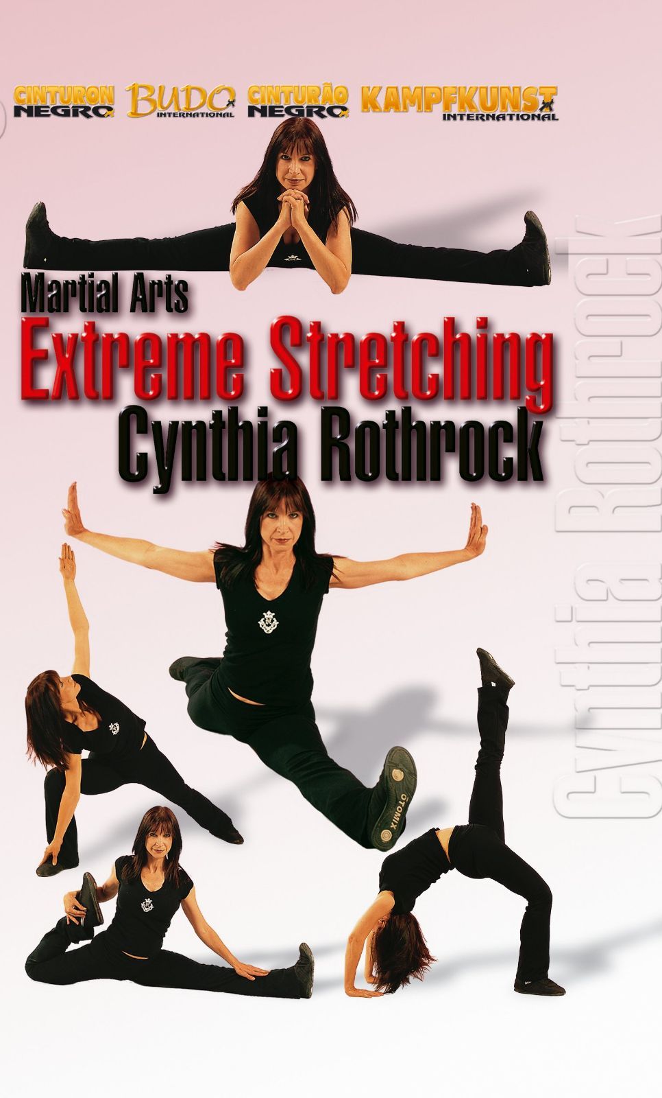 Martial Arts Extreme Stretchin [Import anglais]