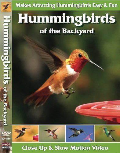 Hummingbirds of the Backyard [DVD]