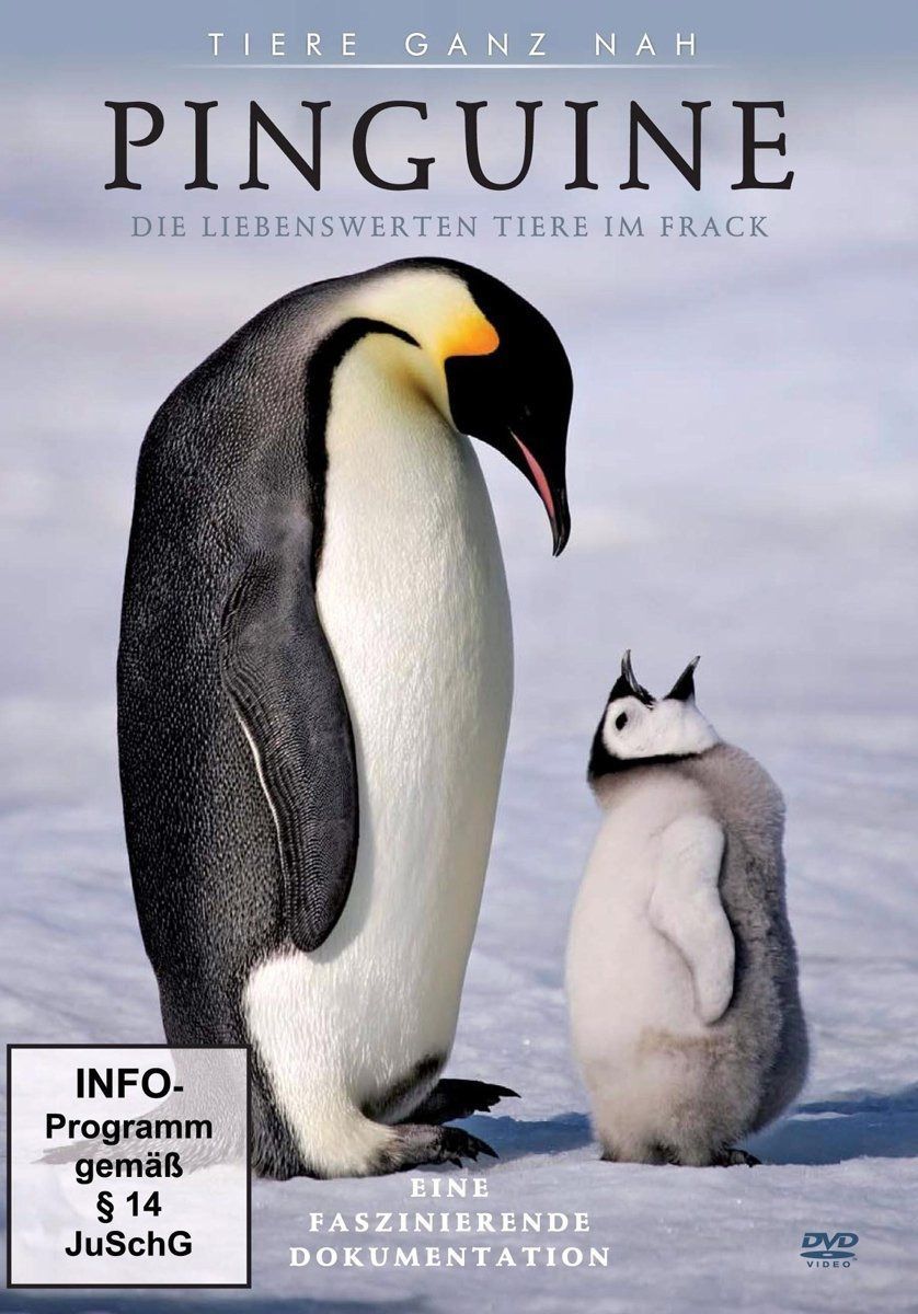 Pinguine [Import anglais]