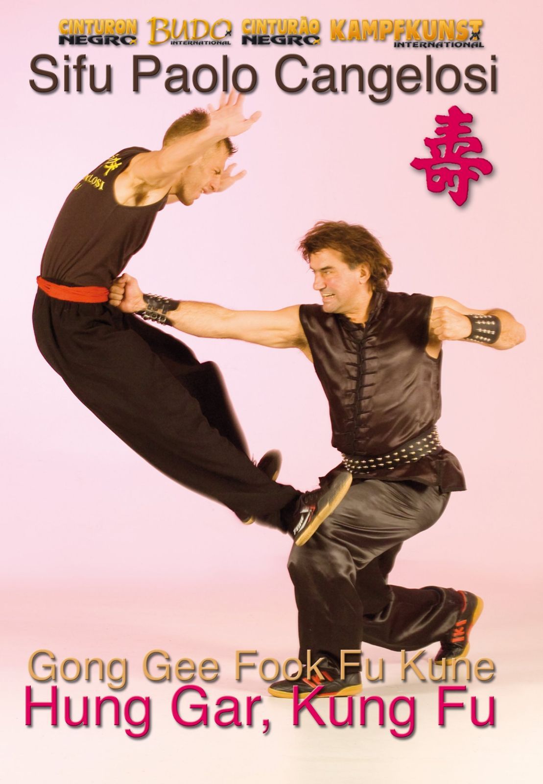 Hung Gar Kung Fu [Import anglais]