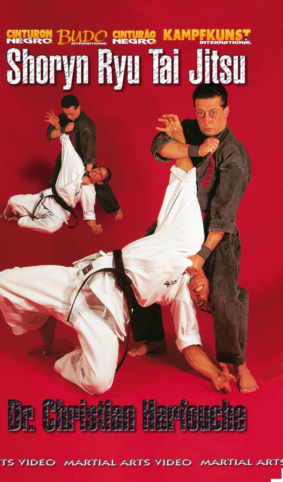 Shoryn Ryu Tai Jitsu [Import anglais]
