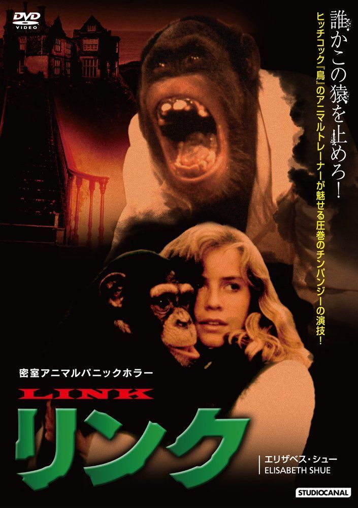 リンク [DVD]