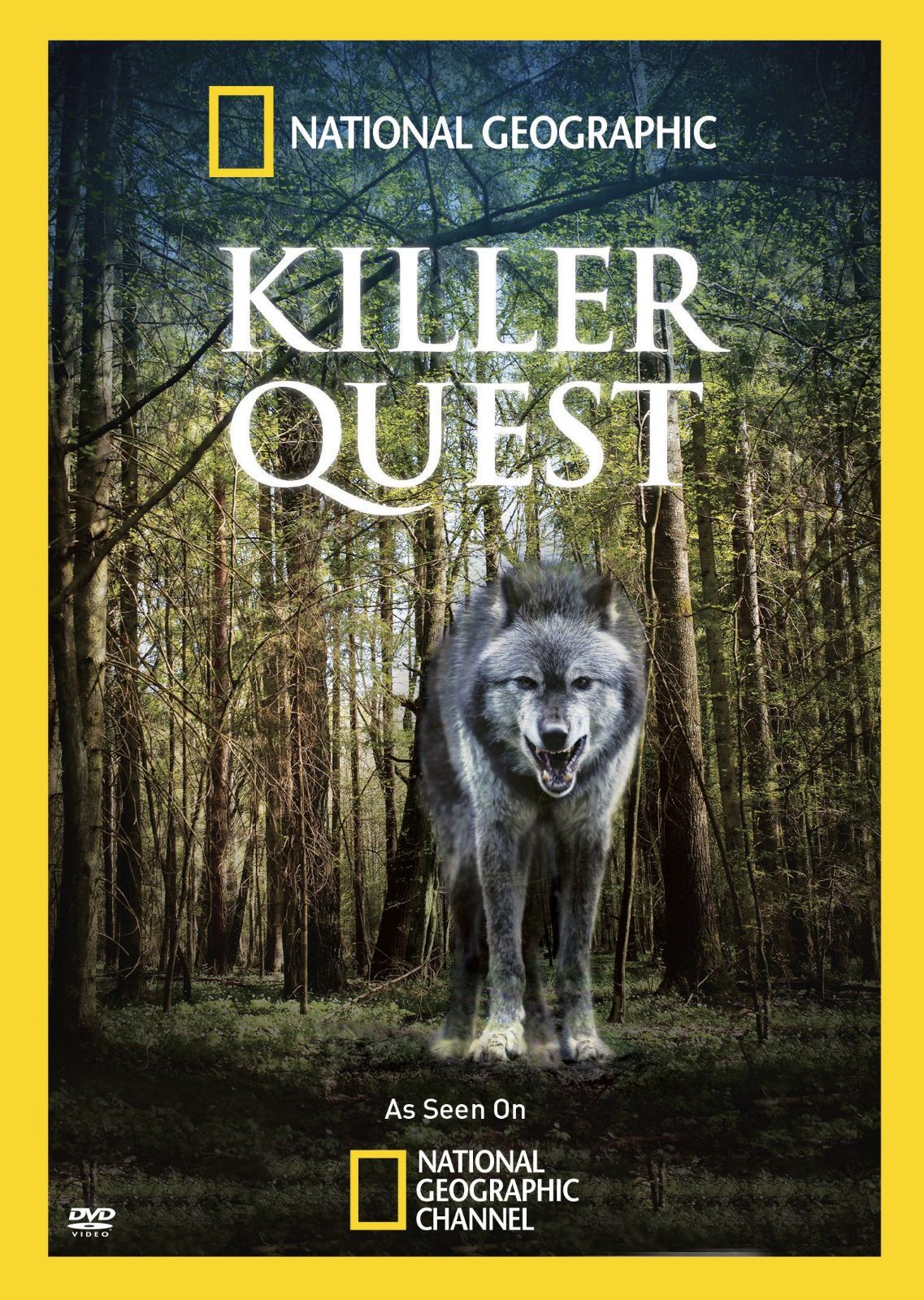 Killer Quest [DVD]
