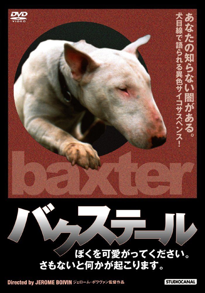 バクステール/ぼくを可愛がってください。さもないと何かが起こります。 [DVD]