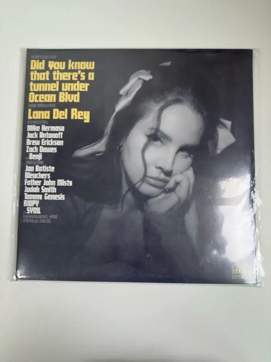 ラナ・デル・レイ dyktttub LP 6,451円
