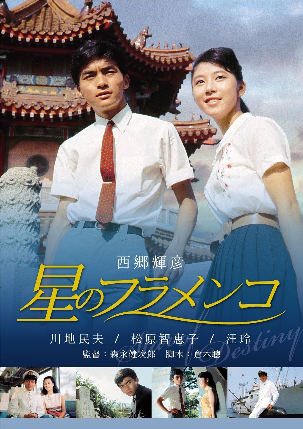 星のフラメンコ [DVD]