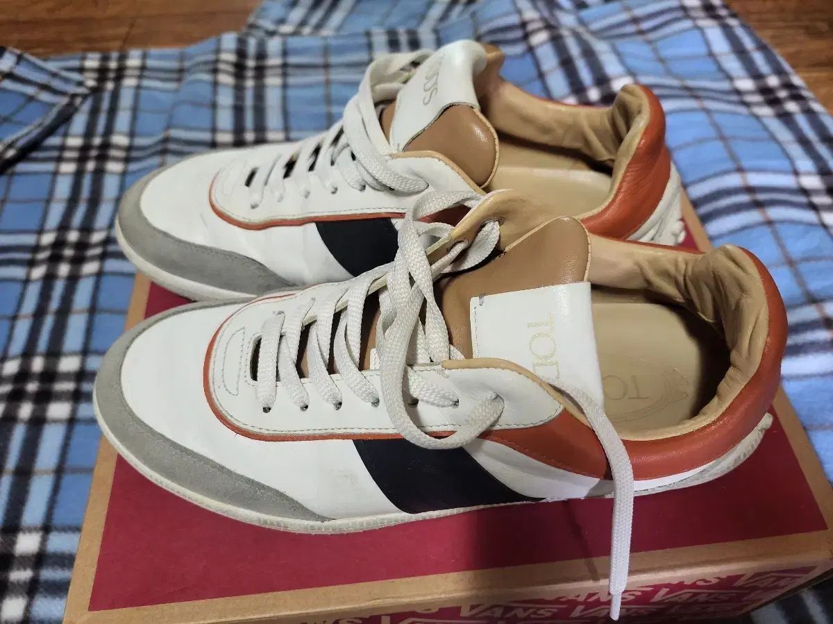 TOD'S トッズ スニーカー サイズ6 (255 260オススメ)