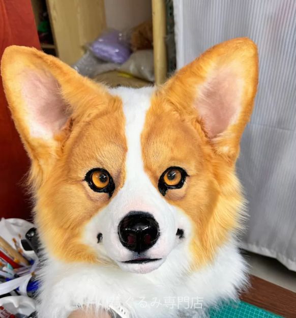 犬　猫　着ぐるみ ヘッド全頭　ヘッド ケモノ ファースーツ ぬいぐるみ コスプレ コスチューム Kurumi 一点物 C586