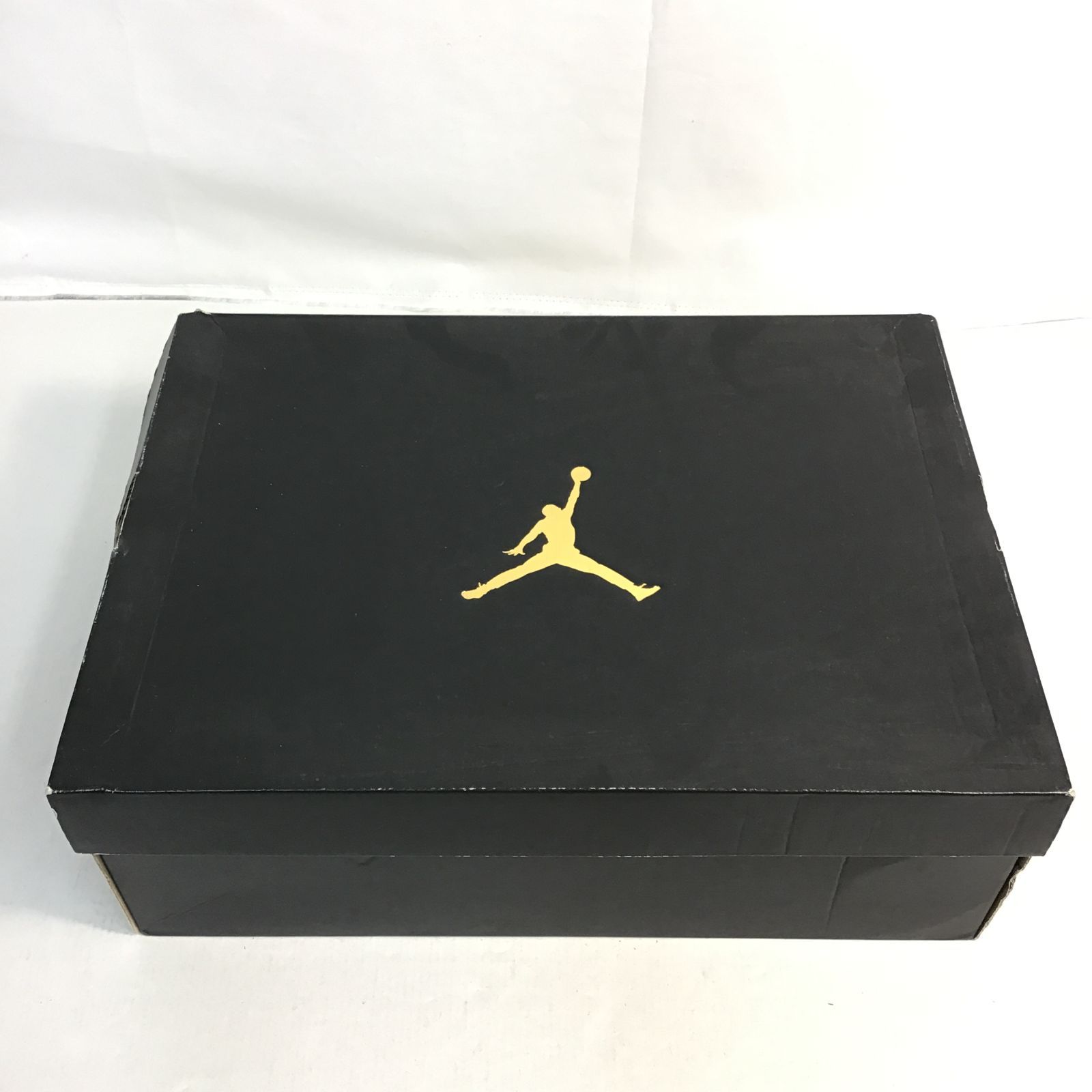 [八戸80-17] NIKE AIR JORDAN RETRO 10 310805 114