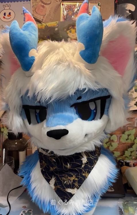 犬　猫　着ぐるみ ヘッド全頭　ヘッド ケモノ ファースーツ ぬいぐるみ コスプレ コスチューム Kurumi 一点物 C591