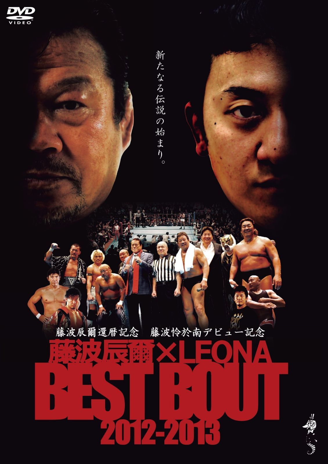 藤波辰爾還暦記念 藤波怜於南デビュー記念 『藤波辰爾×LEONA BEST BOUT 2012-2013』 [DVD]
