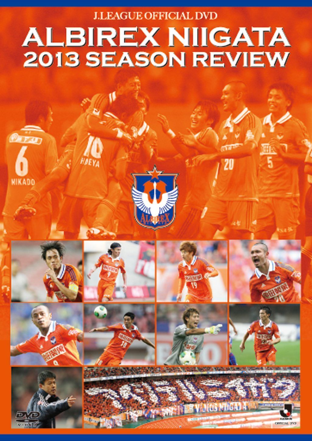 アルビレックス新潟 2013シーズンレビュー [DVD]