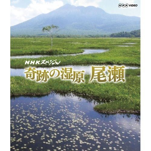 NHKスペシャル 奇跡の湿原 尾瀬