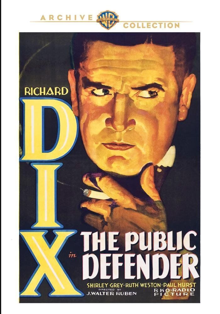 The Public Defender [DVD]