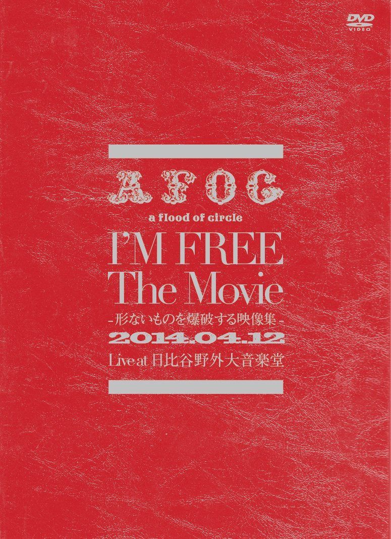 Ｉ’Ｍ　ＦＲＥＥ　Ｔｈｅ　Ｍｏｖｉｅ－形ないものを爆破する映像集－ [DVD]