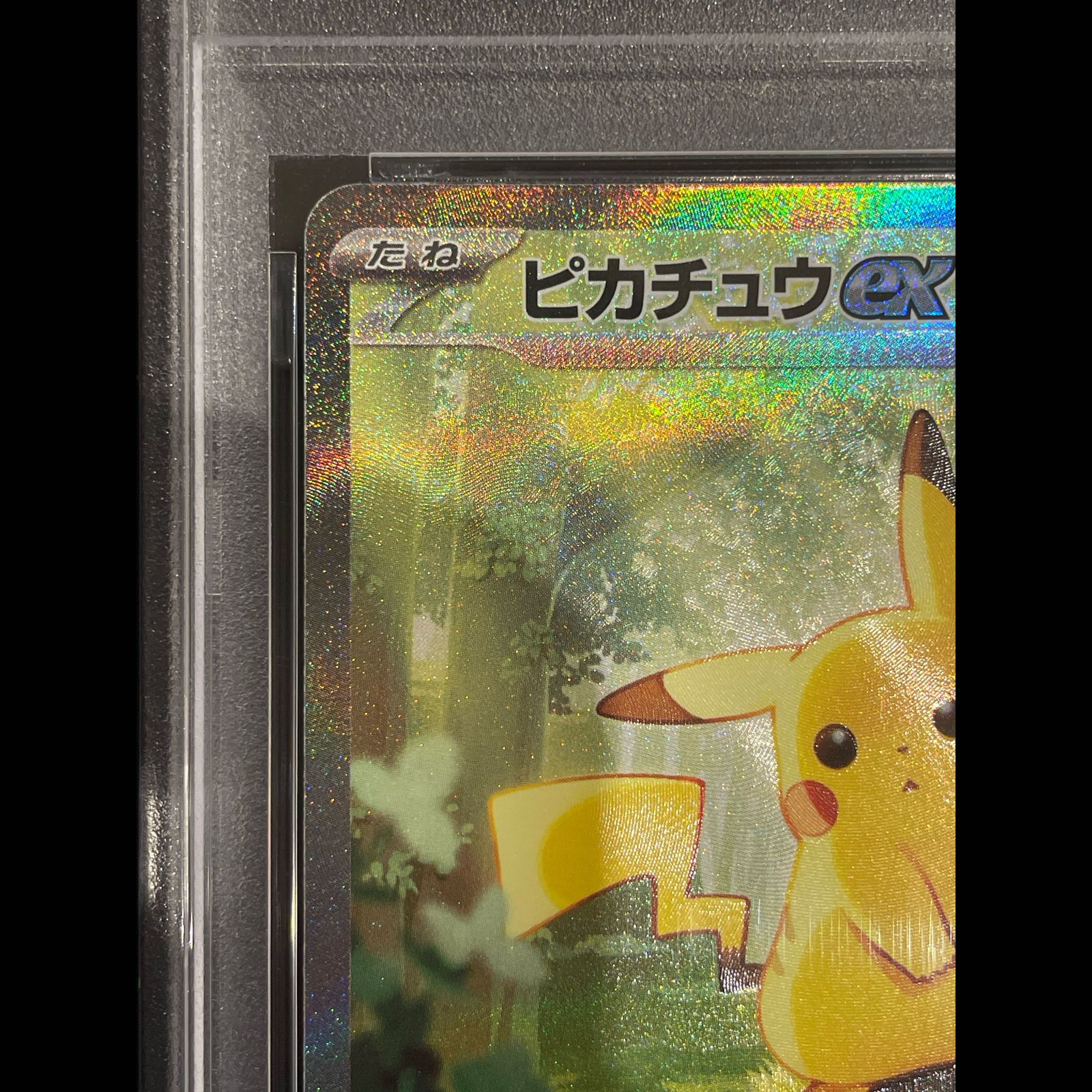 PSA10】 ピカチュウex (SAR仕様) {764/742} [MC/スタートデッキ100
