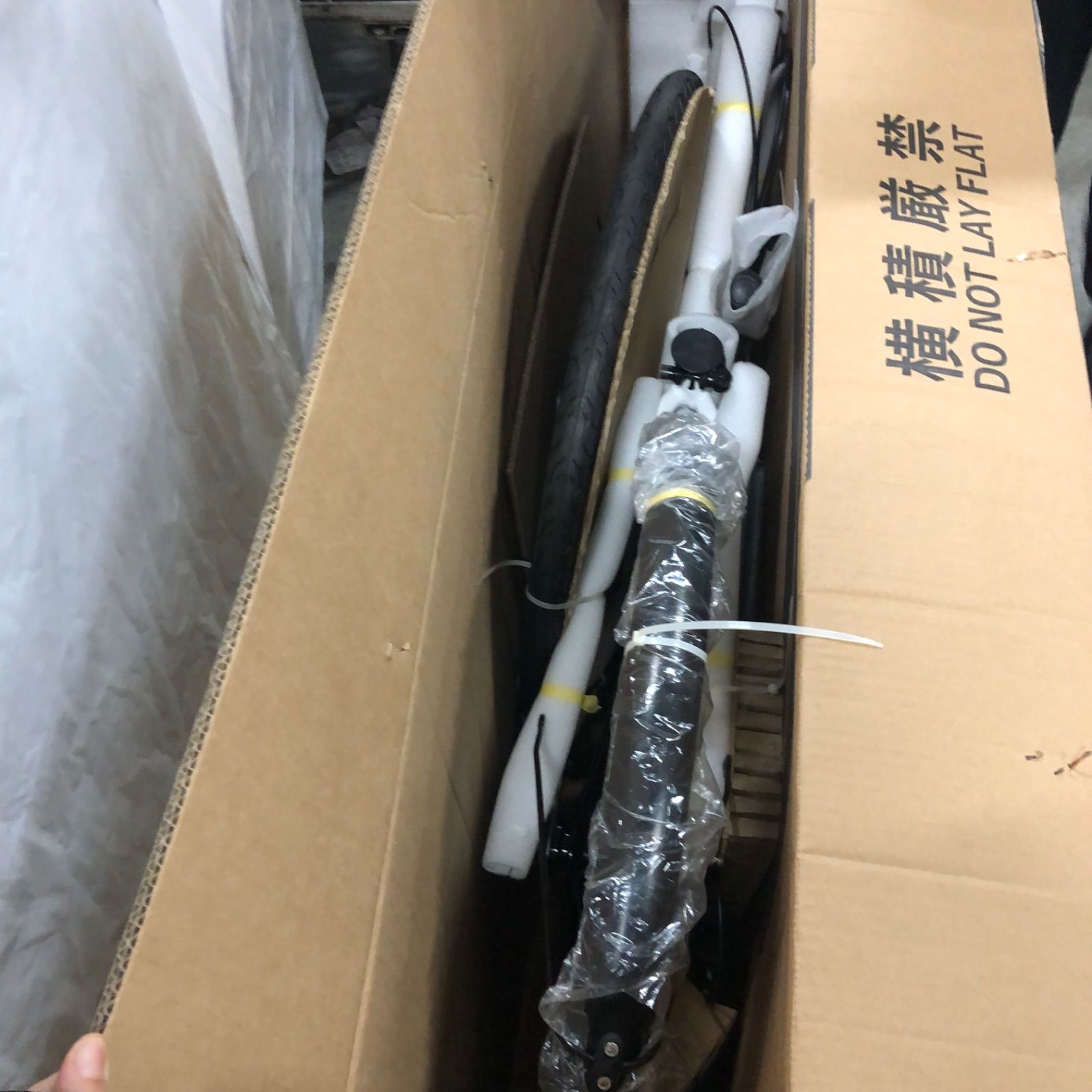 AVASTA Neptune Sサイズ 380mm ホワイト - メルカリ
