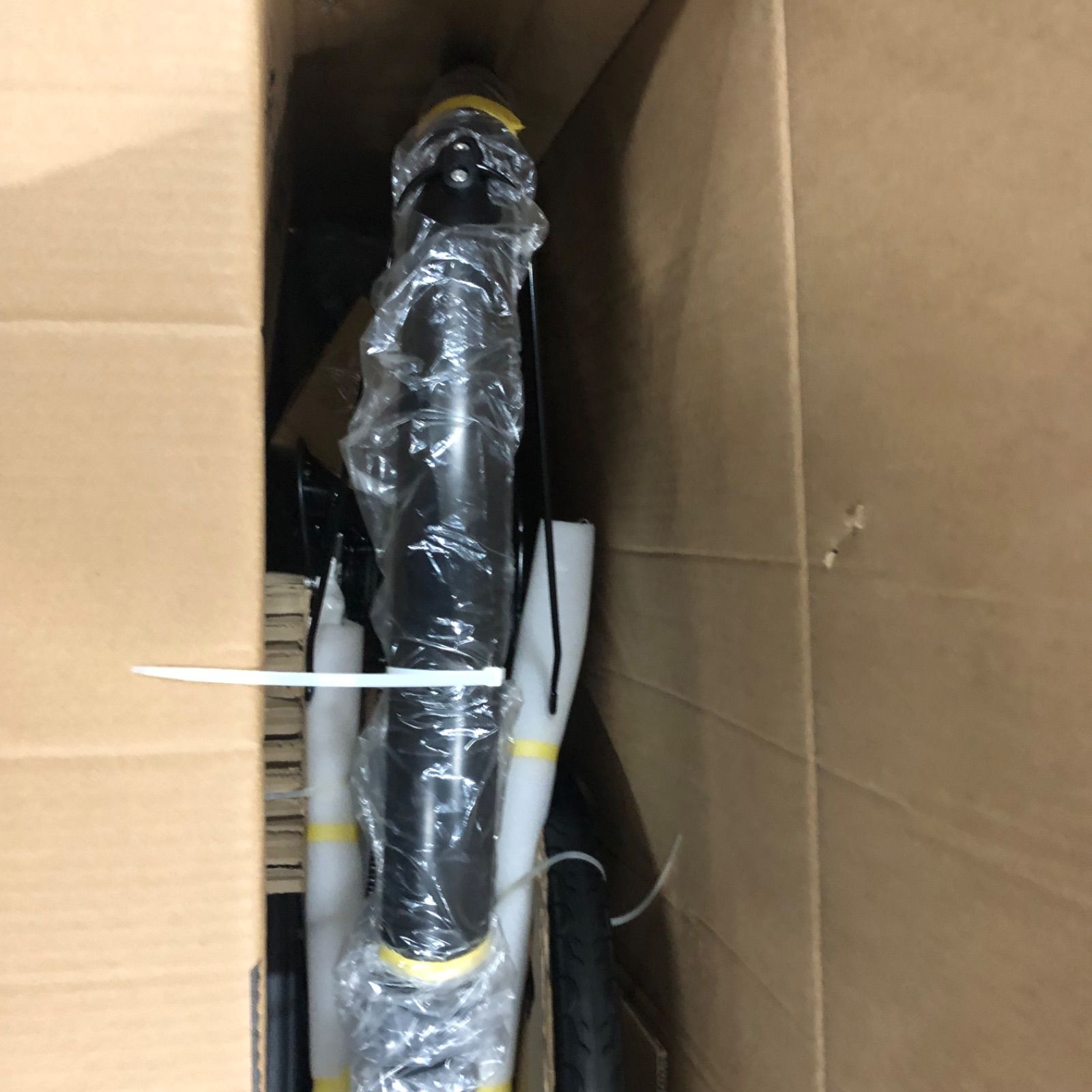 AVASTA Neptune Sサイズ 380mm ホワイト - メルカリ
