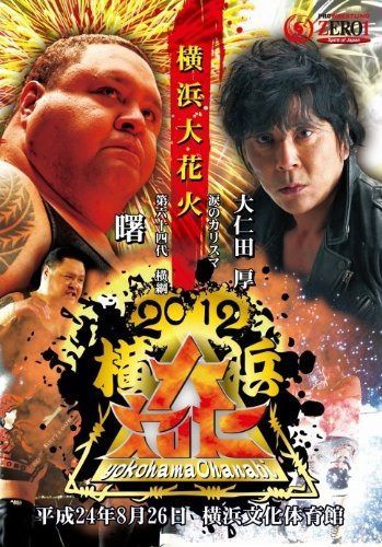 PROWRESTLING ZERO1~2012横浜大花火~ [DVD]