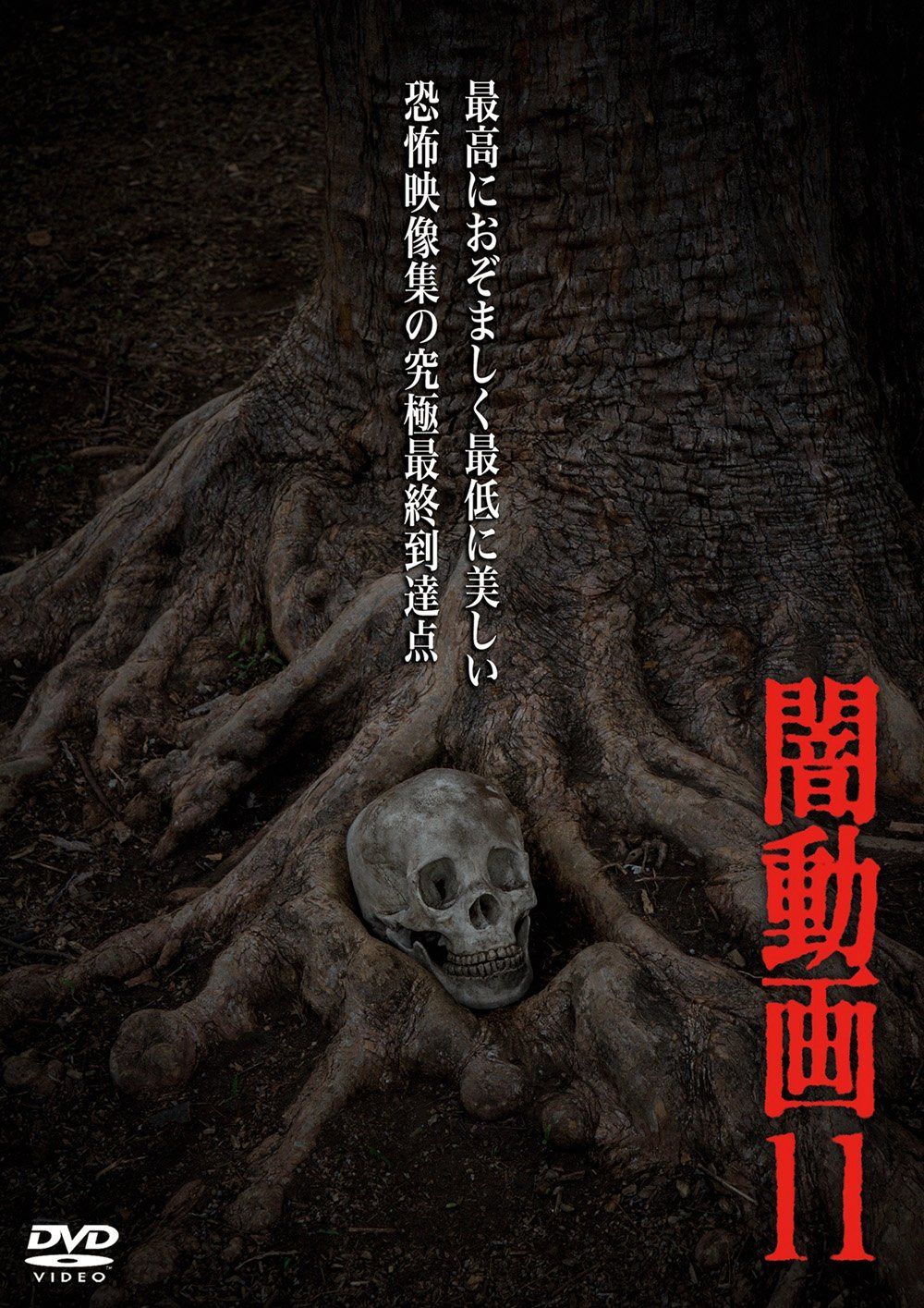 闇動画11 [DVD]
