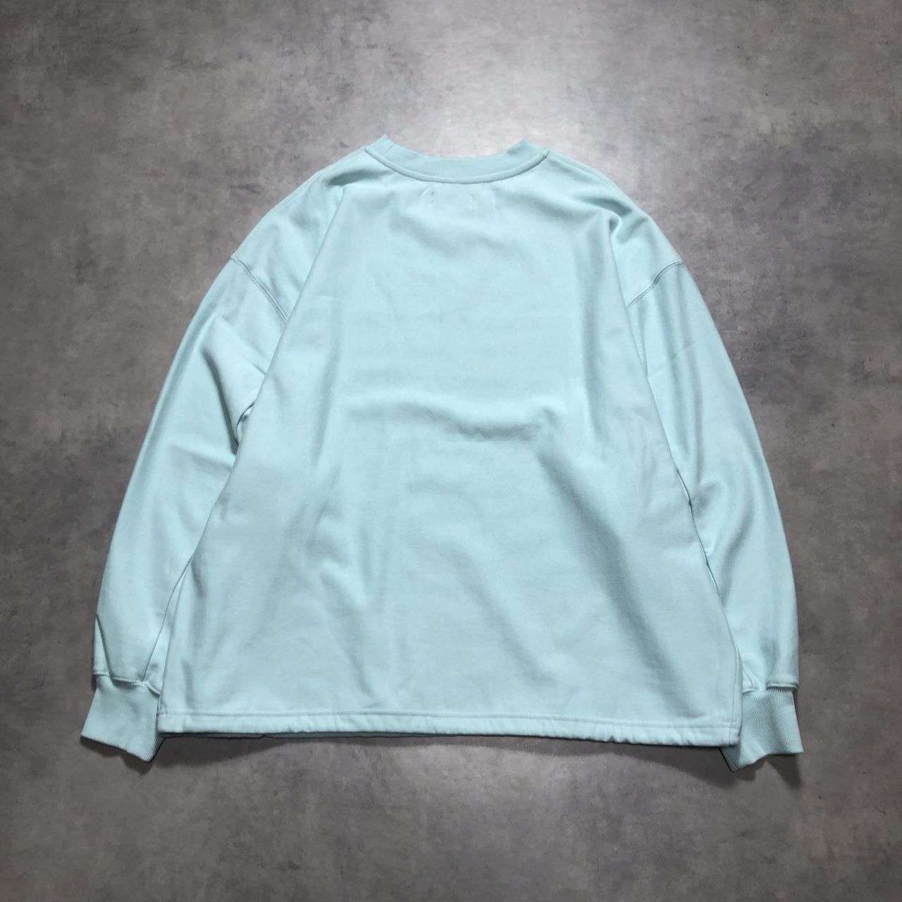 GQ5808◇CARORIE : HEAVY WEIGHT BIG SWEAT SHIRT2 CR2407T2◇L