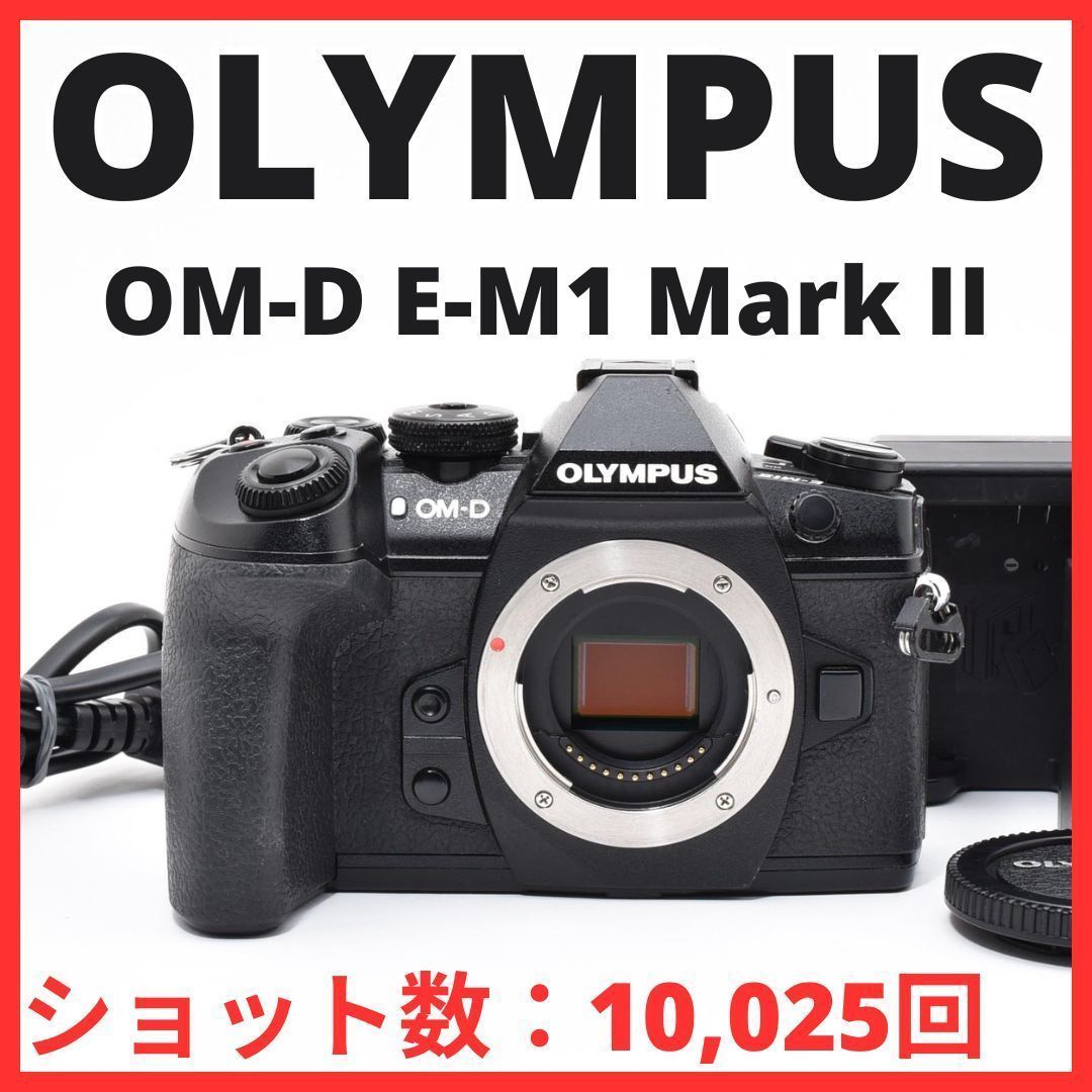 F06[7884]55 オリンパス OLYMPUS OM-D E-M1 Mark II ボディ E-M1II 【ショット数 10，025回】
