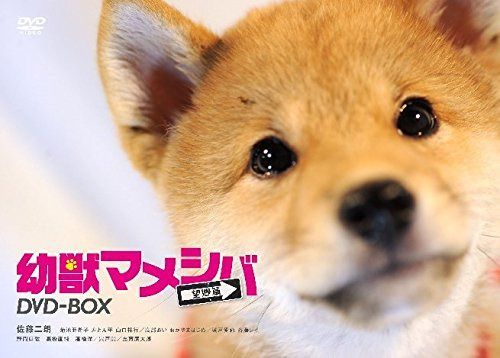 ドラマ「 幼獣マメシバ 望郷篇 」DVD-BOX