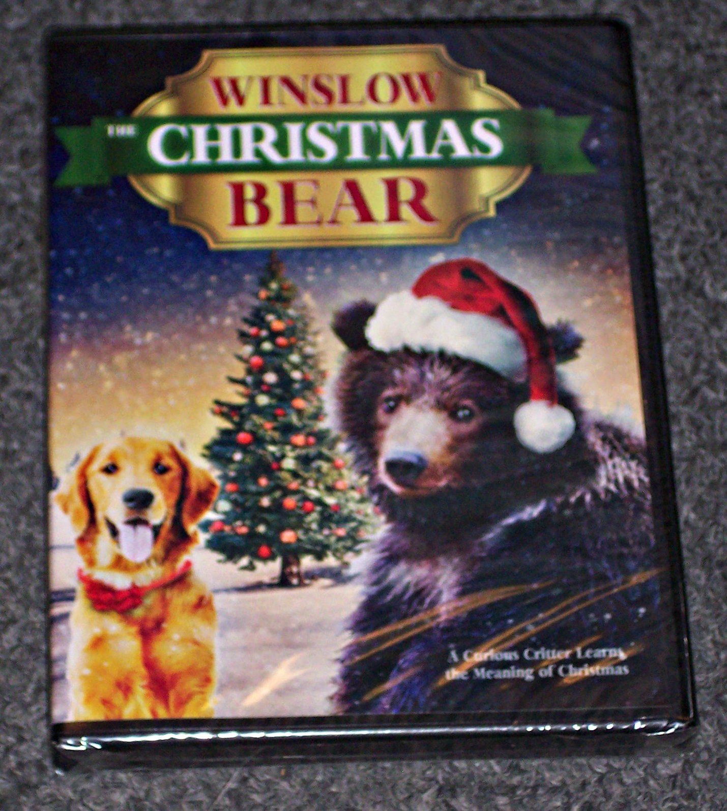 Winslow the Christmas Bear [DVD]