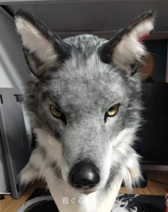 犬　猫　着ぐるみ ヘッド全頭　ヘッド ケモノ ファースーツ ぬいぐるみ コスプレ コスチューム Kurumi 一点物 C618