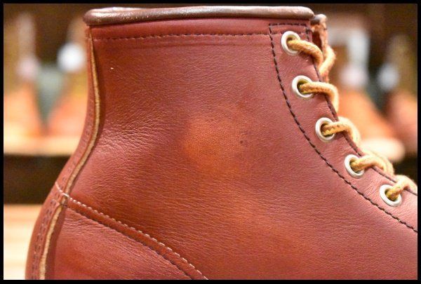 6.5E 良品 犬タグ】レッドウィング 8875 アイリッシュセッター 赤茶