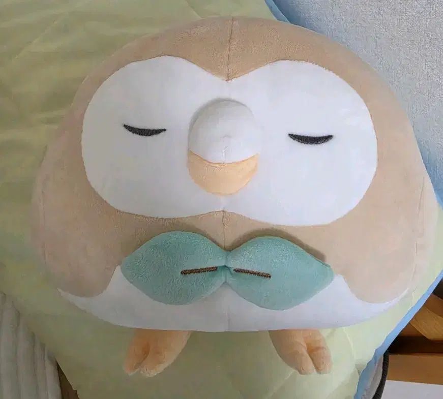 ポケットモンスター モクロー 大型 ウール もち ぬいぐるみ