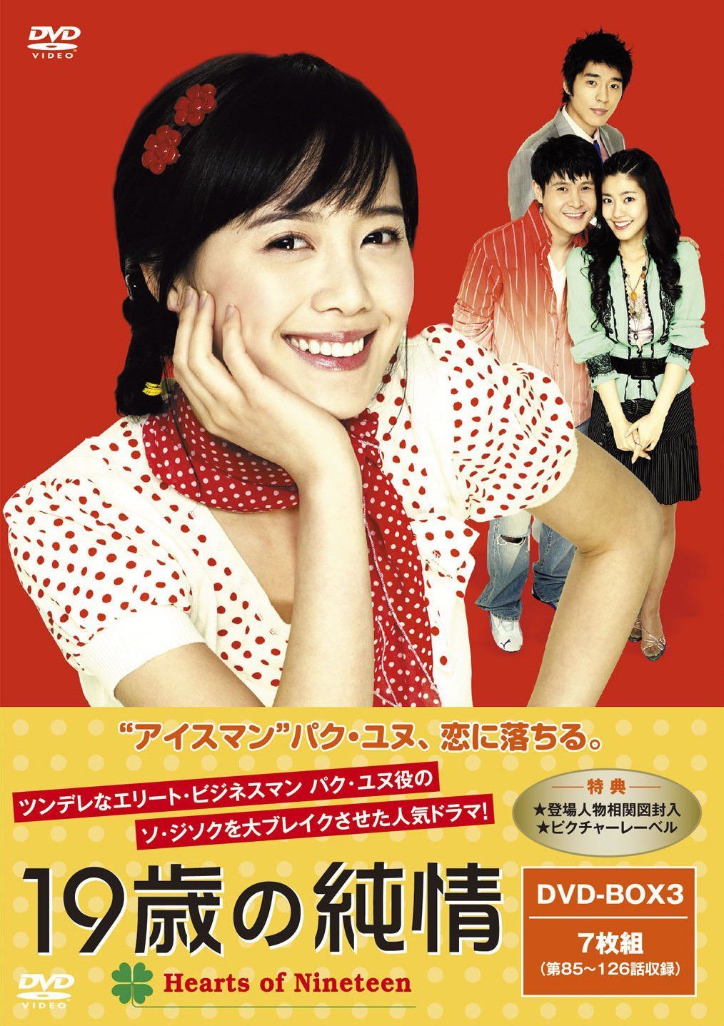 19歳の純情 廉価版DVD-BOX3