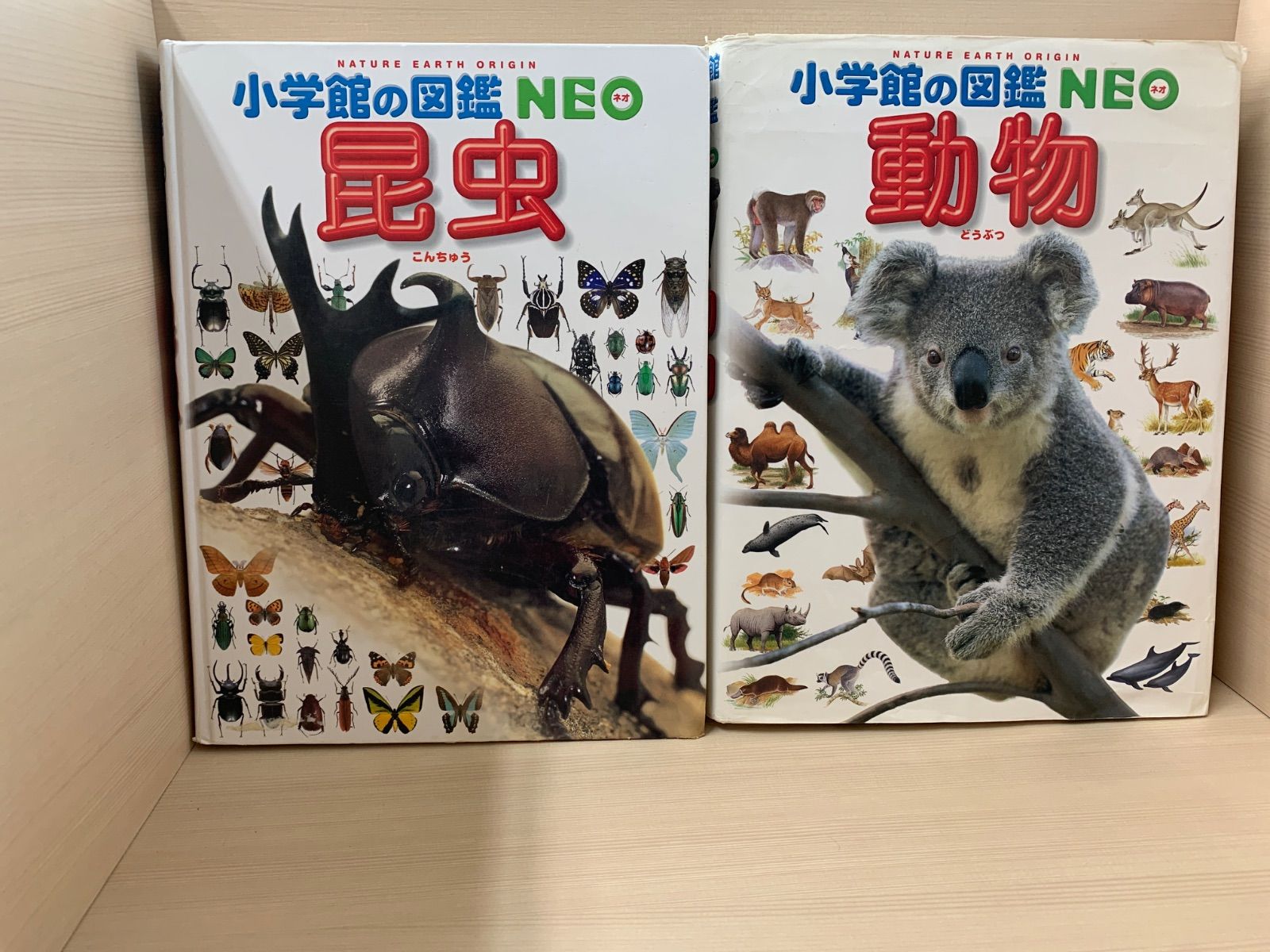 小学館の図鑑 NEO 5冊セット 小学館の図鑑 NEO 5冊セット - メルカリ