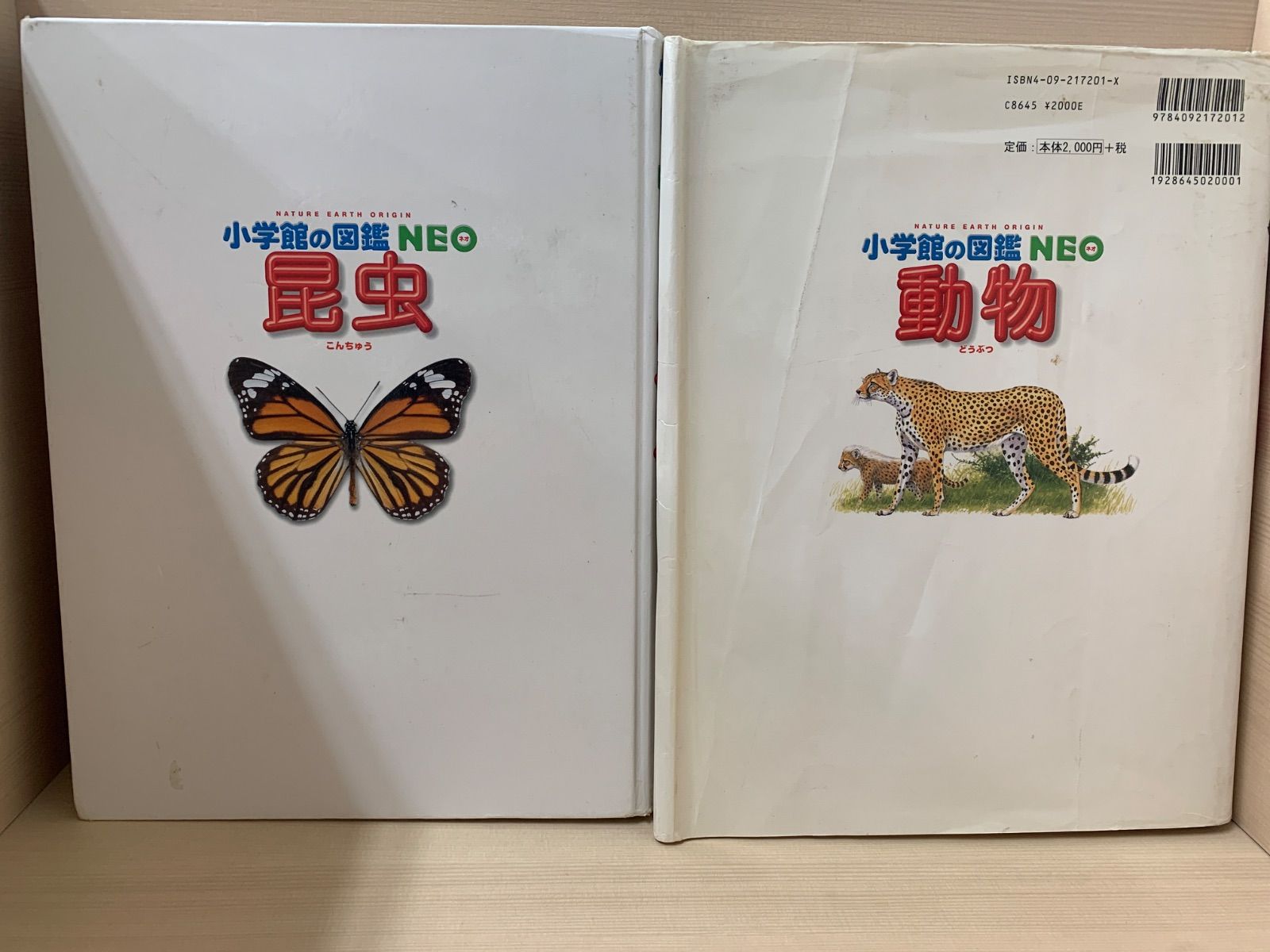 小学館の図鑑 NEO 5冊セット - メルカリ