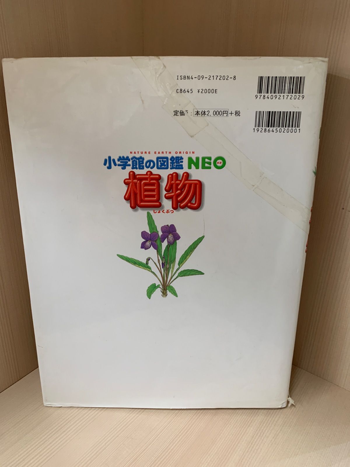 小学館の図鑑 NEO 5冊セット - メルカリ