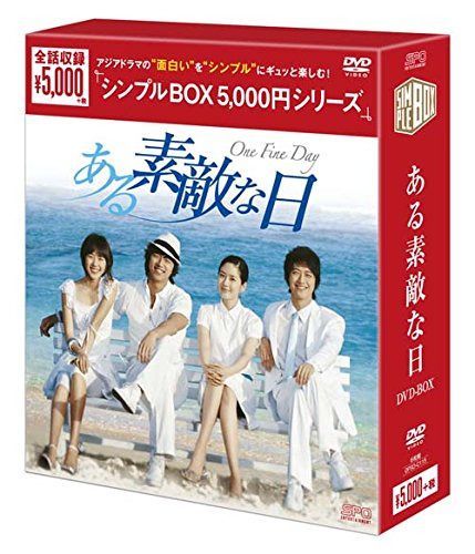 ある素敵な日 DVD-BOX<シンプルBOXシリーズ>