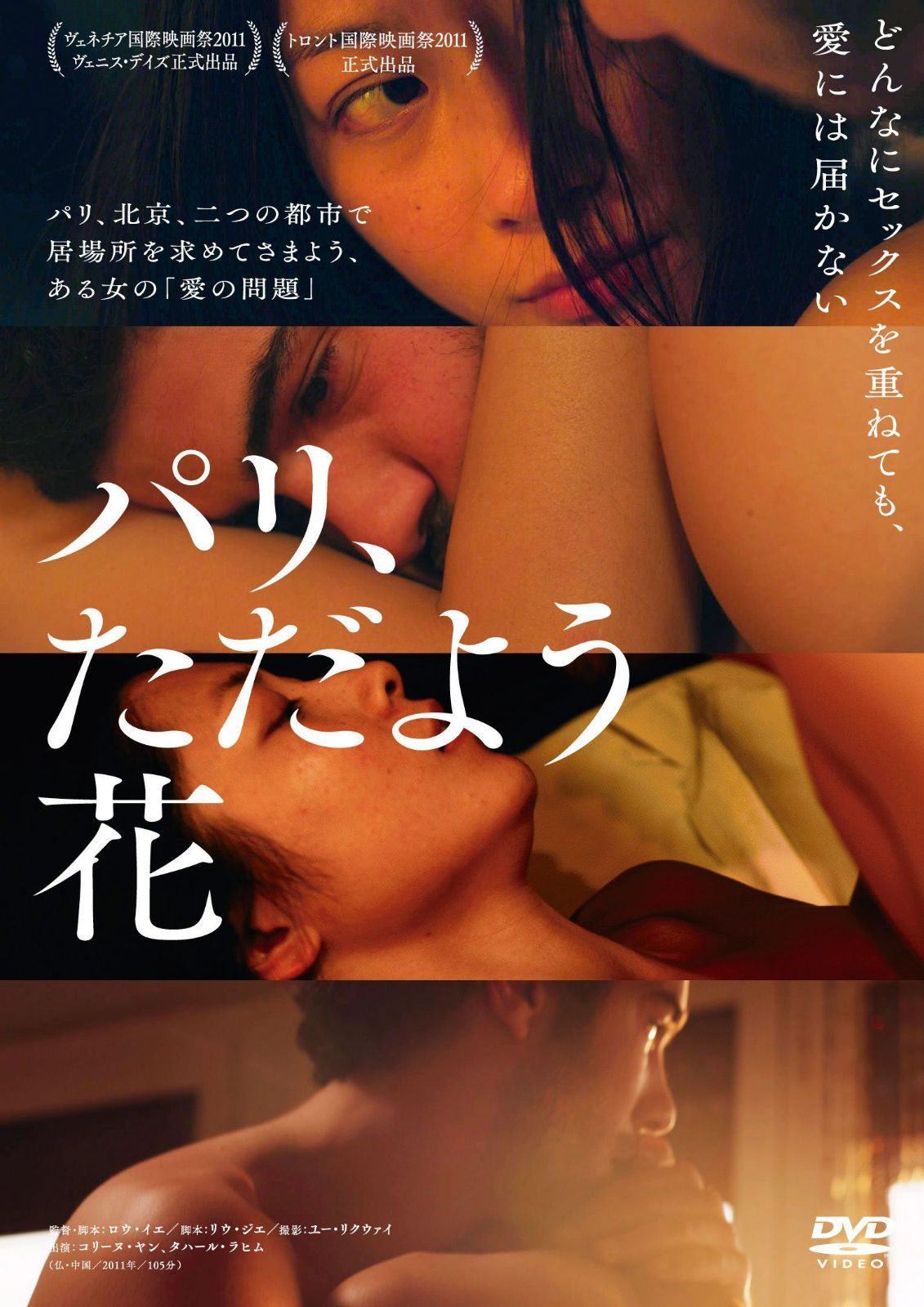 パリ、ただよう花 [DVD]