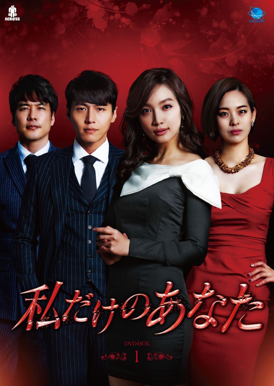 私だけのあなた　DVD-BOX1