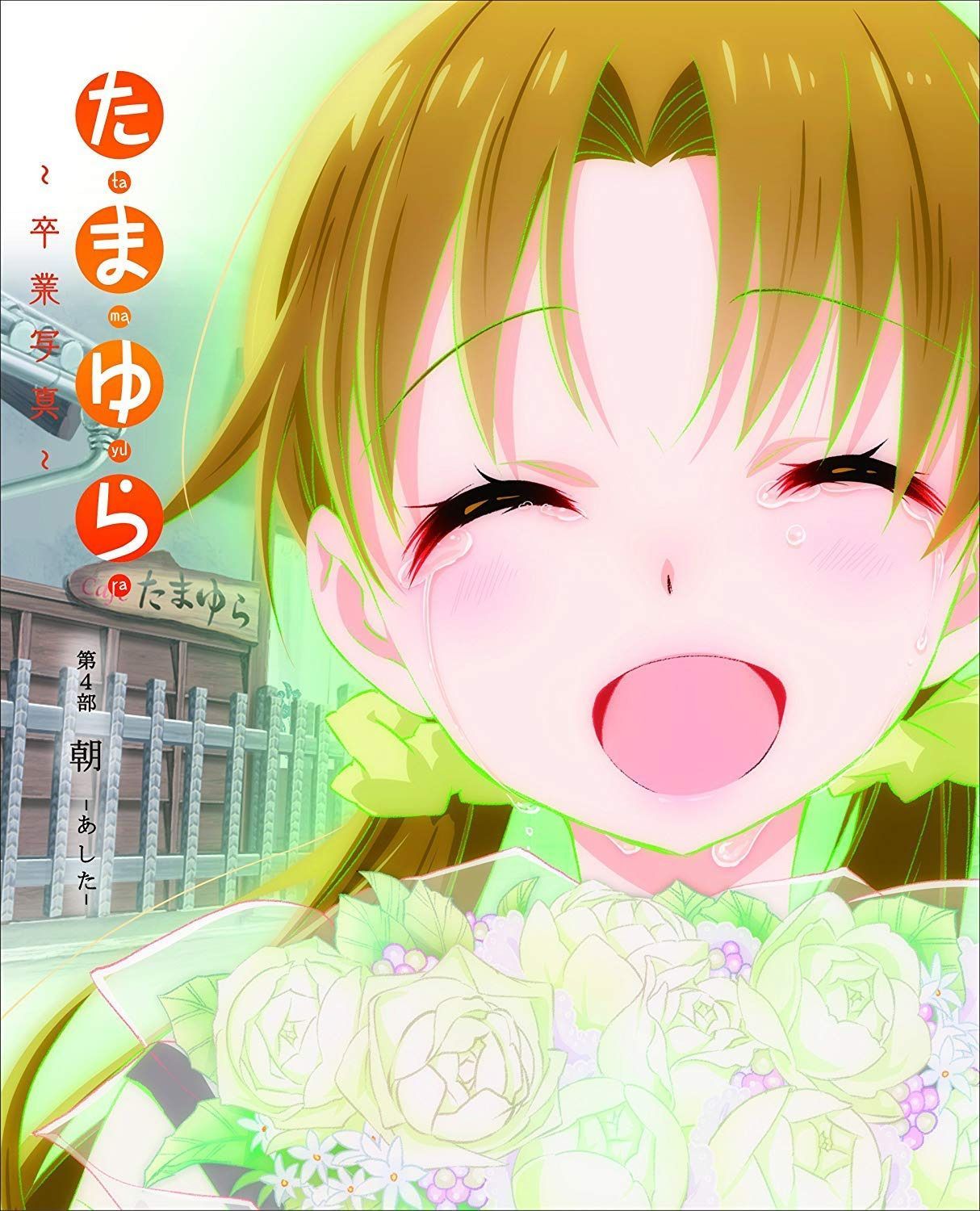 「たまゆら~卒業写真~」第4部 朝-あした- [DVD]