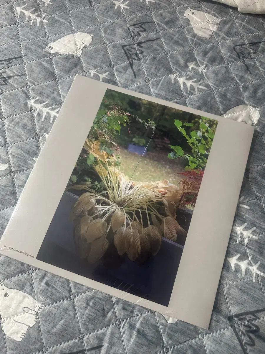 ヒョクオウ 愛をこめて lp 未開封