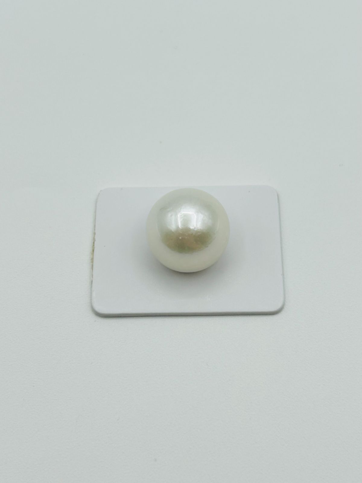 「超ビッグサイズ！」南洋 白蝶 パール ルース 17.4ミリ 無穴 South Sea Pearl