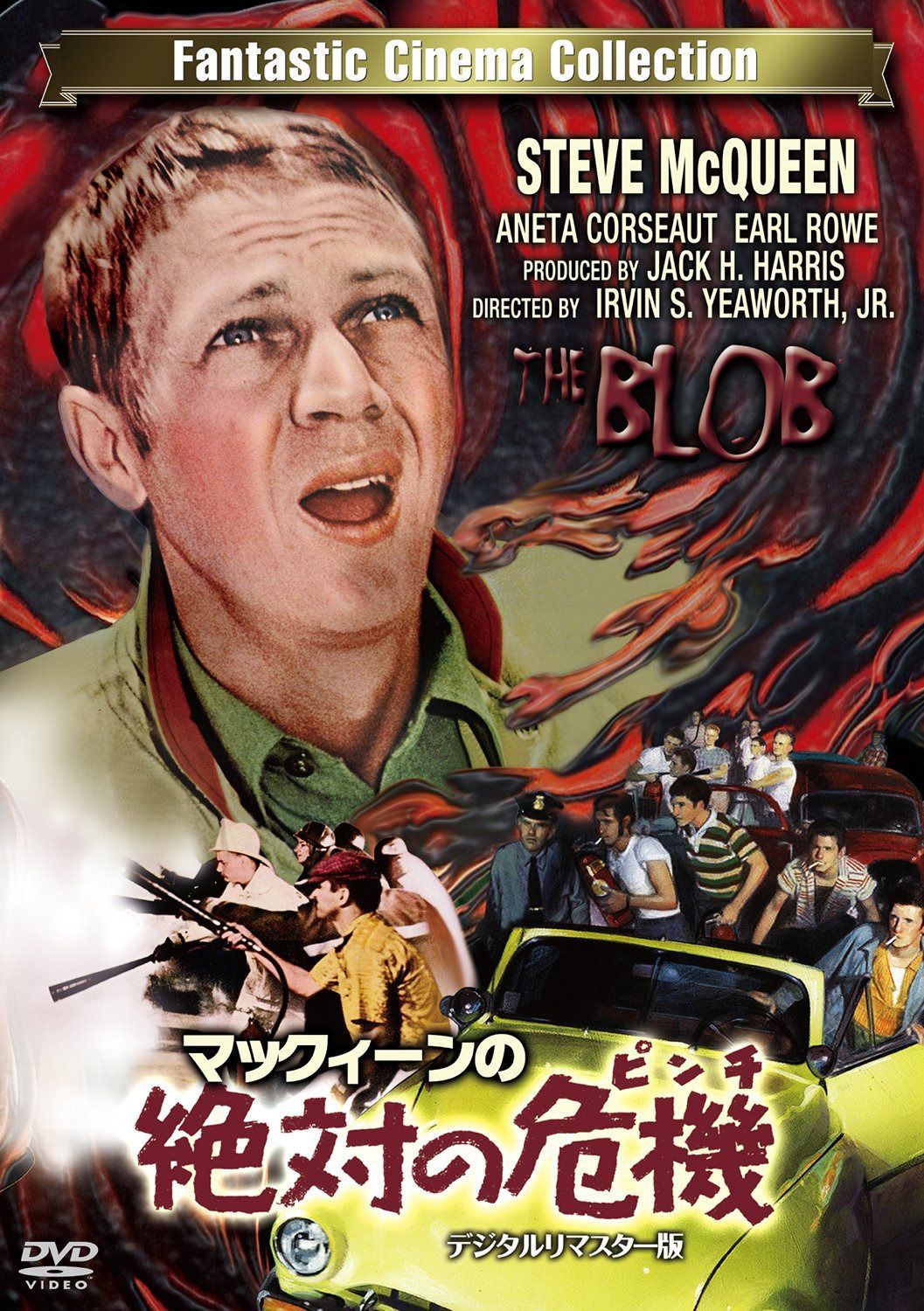 マックィーンの絶対の危機(ピンチ)-デジタルリマスター版- [DVD]
