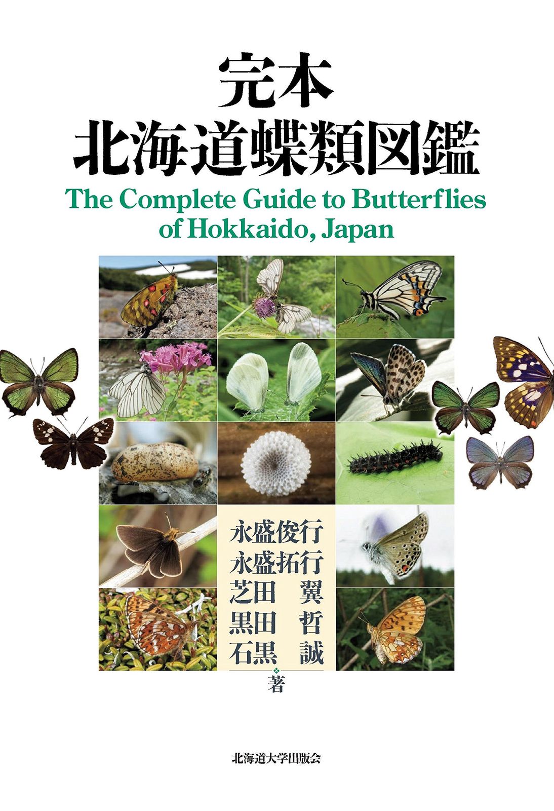 完本 北海道蝶類図鑑