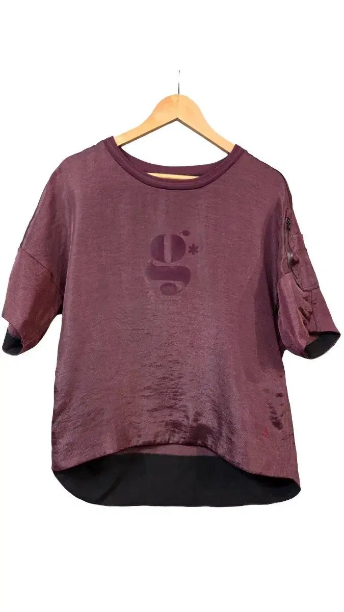 G-STAR RAW グラフィック Tシャツ バーガンディ (S)