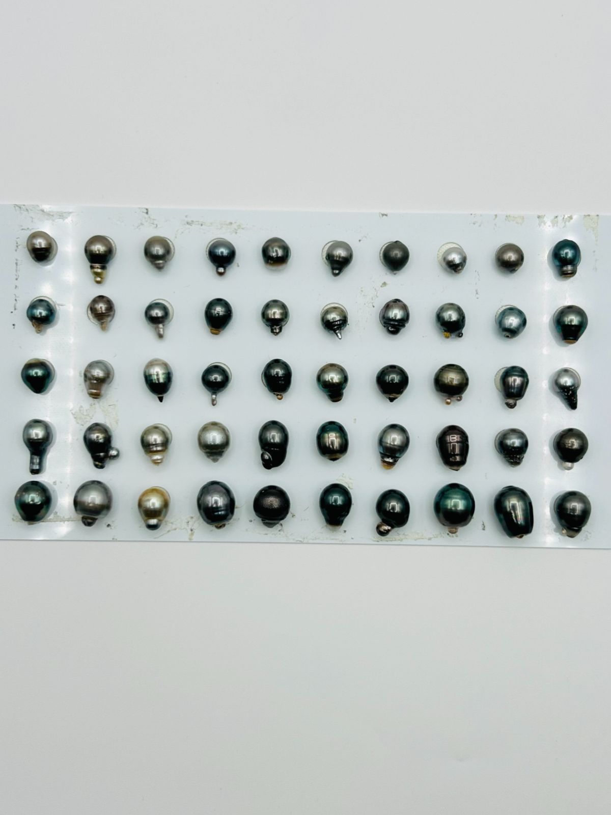 「まとめ買いがお得！」タヒチ 黒蝶 パール ルース 無穴 50PCS バロック珠