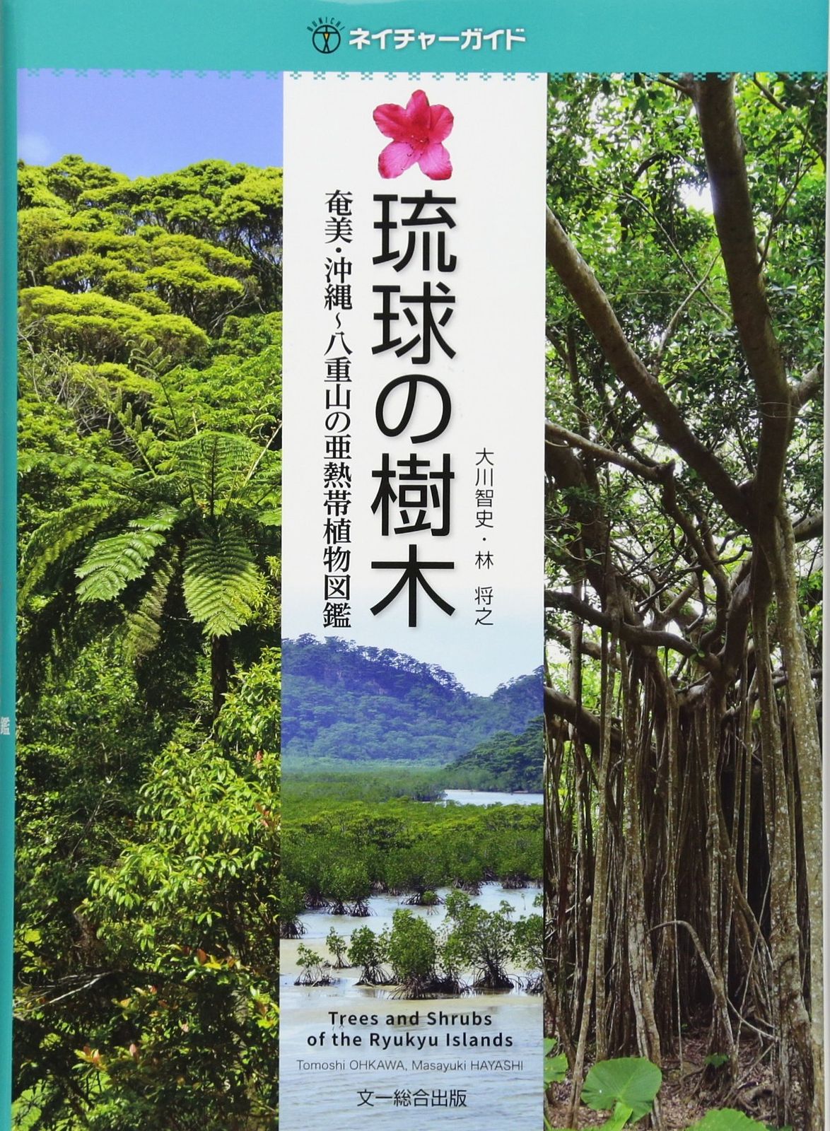 琉球の樹木—奄美・沖縄〜八重山の亜熱帯植物図鑑 (ネイチャーガイド)