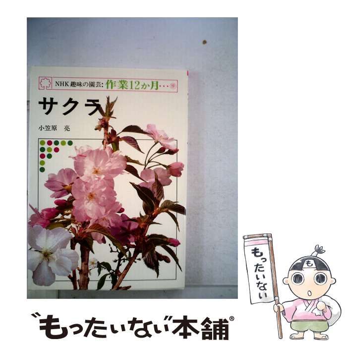 【中古】 サクラ / 小笠原 亮 /
