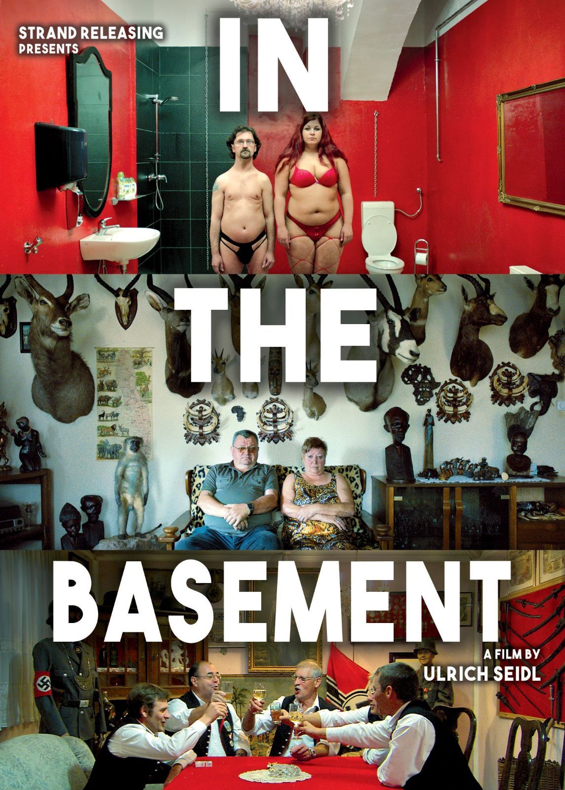 In the Basement [DVD] [Import]