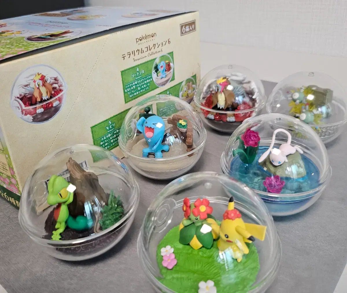ポケットモンスター リーメント テラリウム コレクション 6 出品