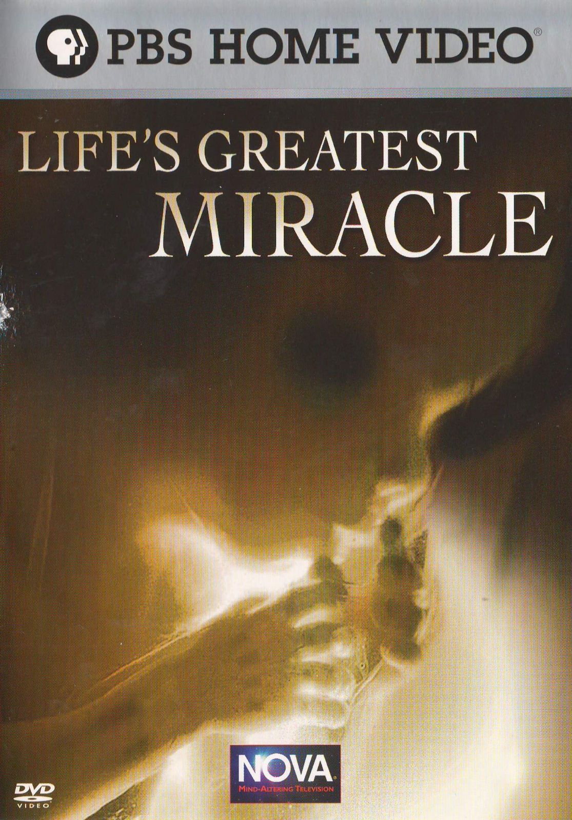 Life's Greatest Miracle [DVD]